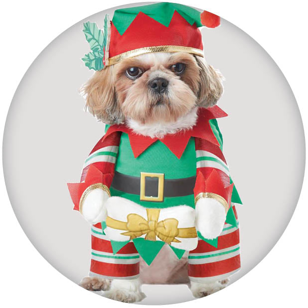 Mrs Claus Dog Puppy First Christmas Outfit Mrs Claus Costume My