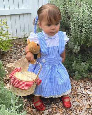 Girl from Oz Deluxe Girls Toddler Costume