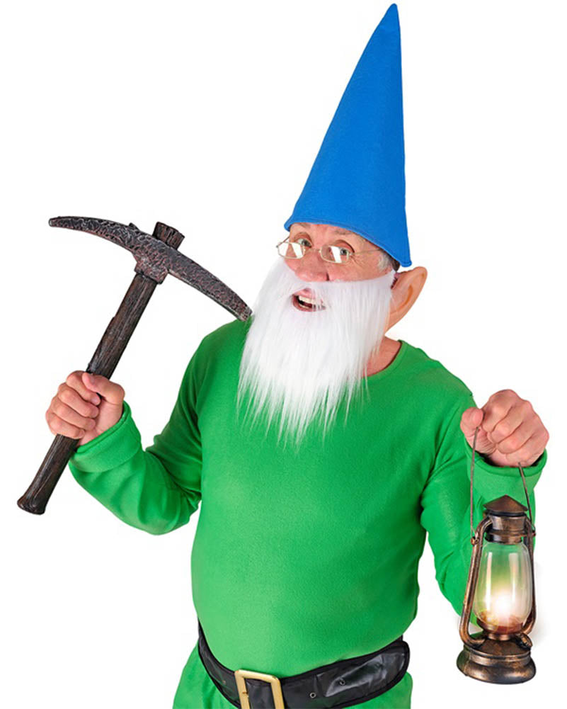 Blue Dwarf Hat Beard And Ears Set