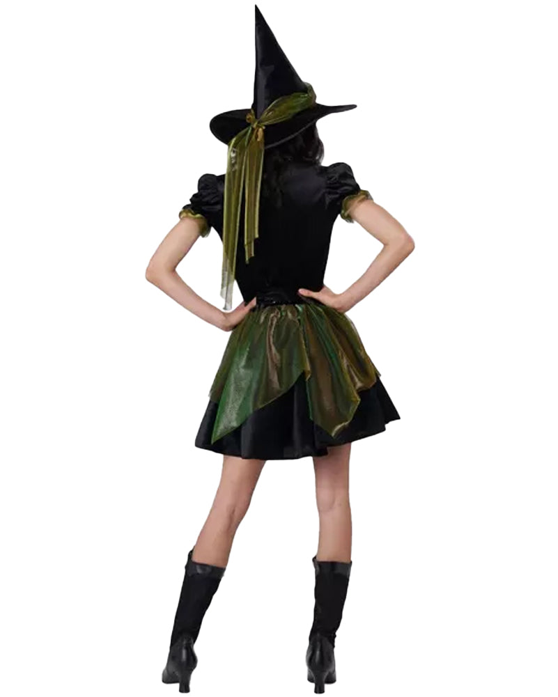 Emerald City Witch Womens Costume