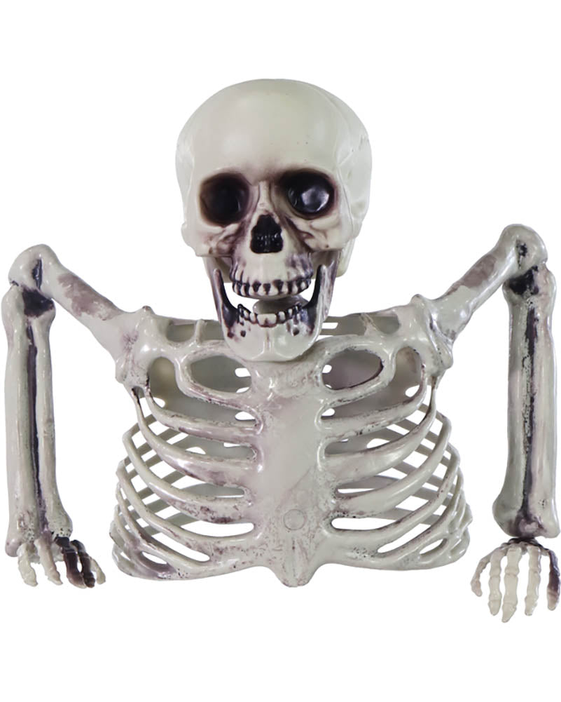 Half Skeleton Halloween Decoration 20cm