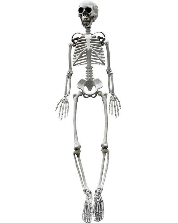 Hanging Posable Skeleton 95cm