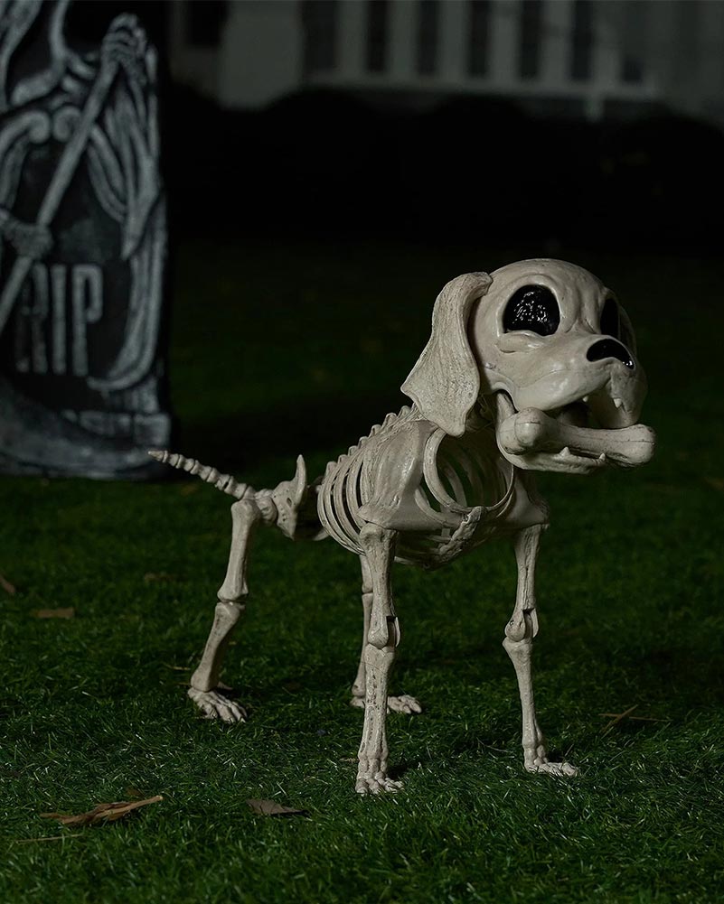 Posable Skeleton Puppy Decoration 25cm