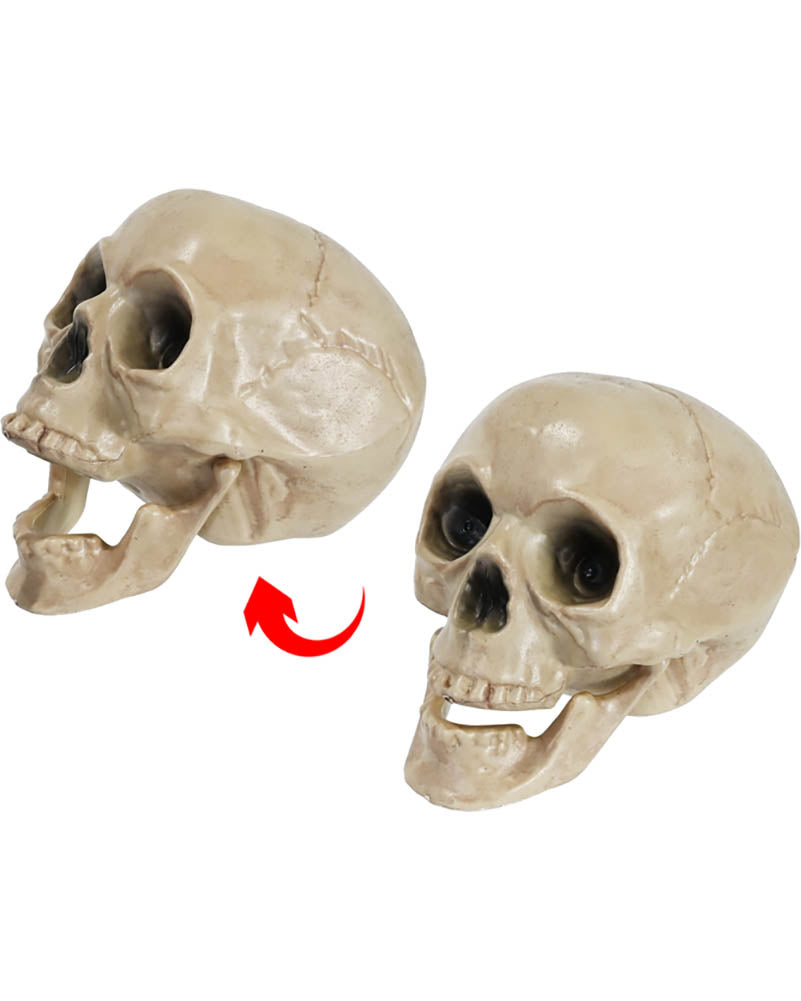Skull Halloween Prop 15cm