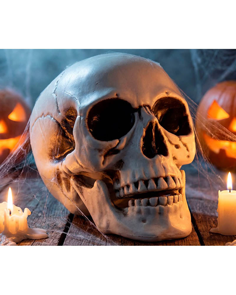 Skull With Movable Jaw 28cm