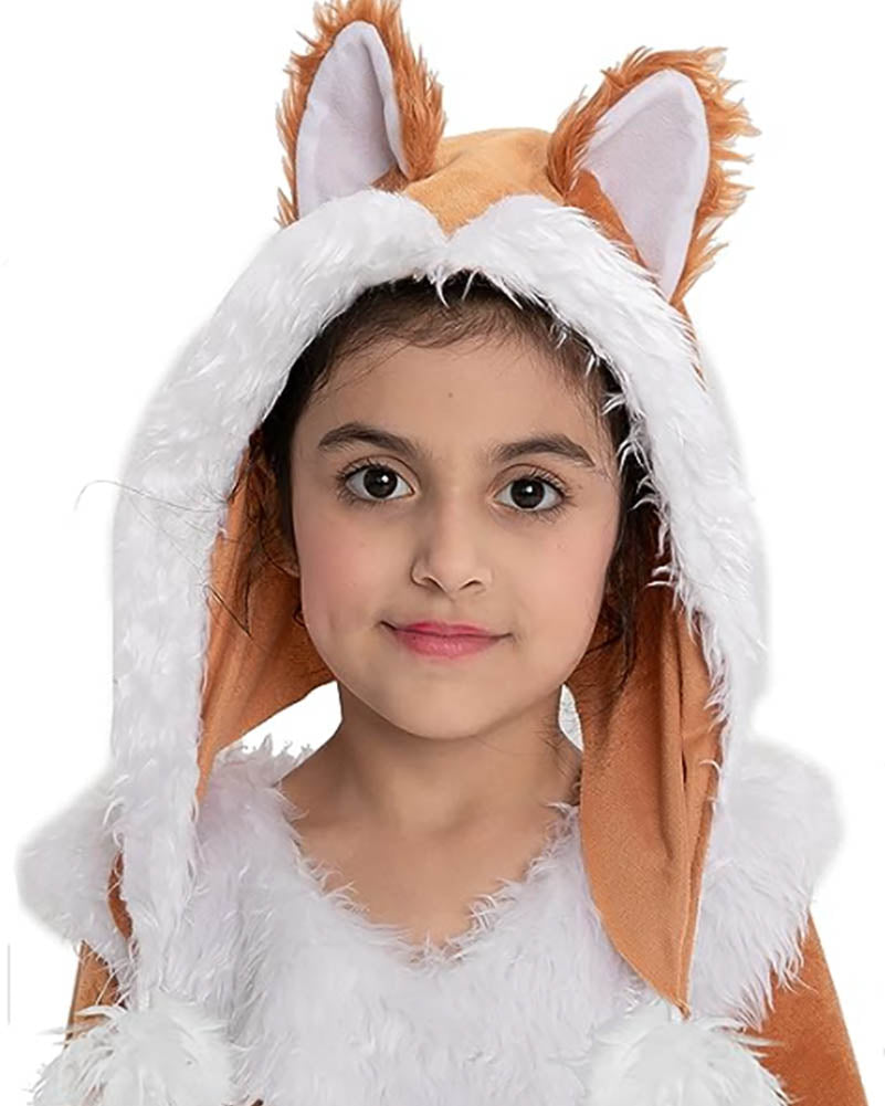 Sweet Fox Girls Costume