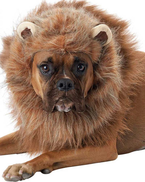 King Of The Jungle Pet Costume