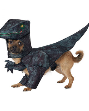 Pupasaurus Rex Pets Costume