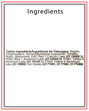 Harry Potter Temporary Tattoos