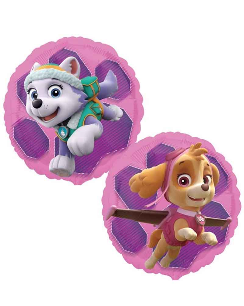 Paw Patrol Skye and Everest Anagram Balloon