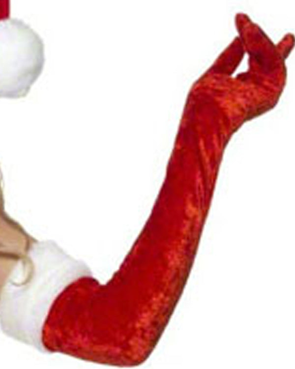 Miss Santa Luxury Womens Christmas Costume