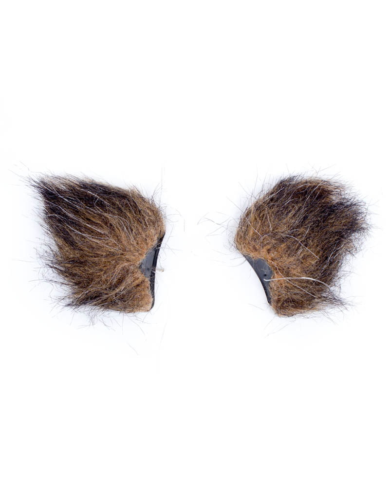 Cat Ears and Tail