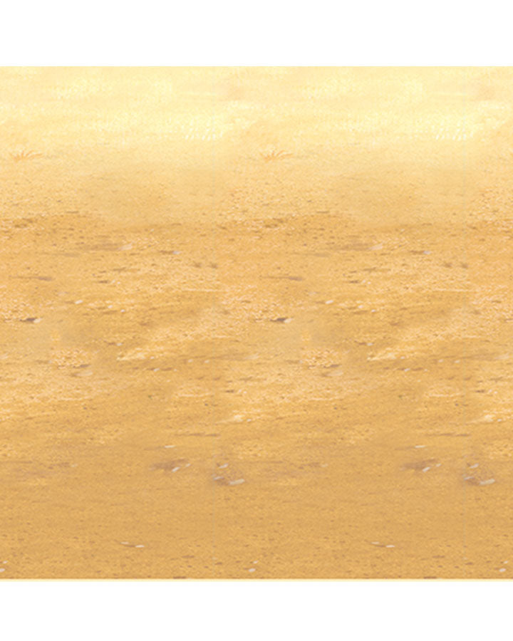 Western Desert Sand Backdrop 9m