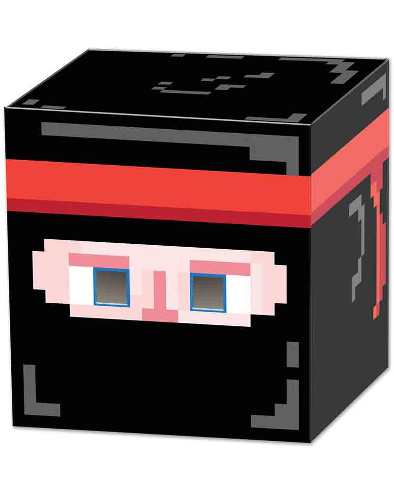 8 Bit Ninja Box Head Mask