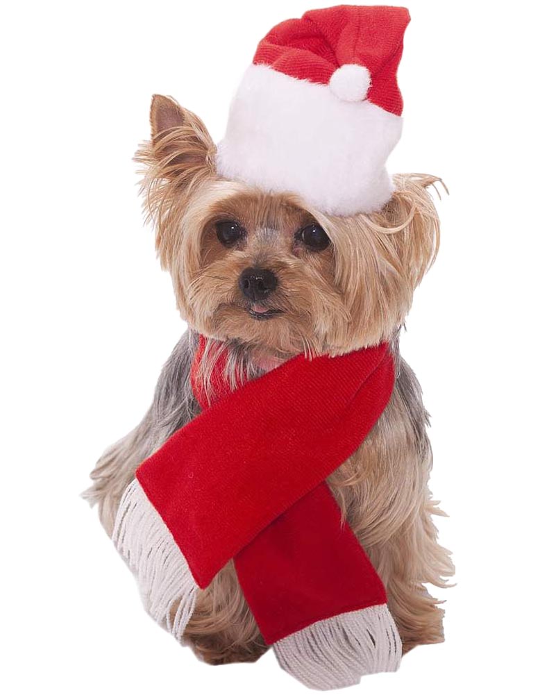 Santa Hat and Scarf Pet Costume