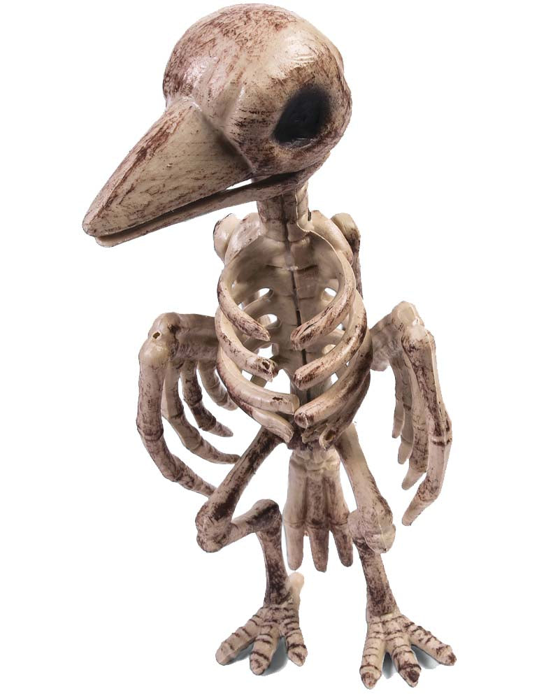 Raven Skeleton Prop