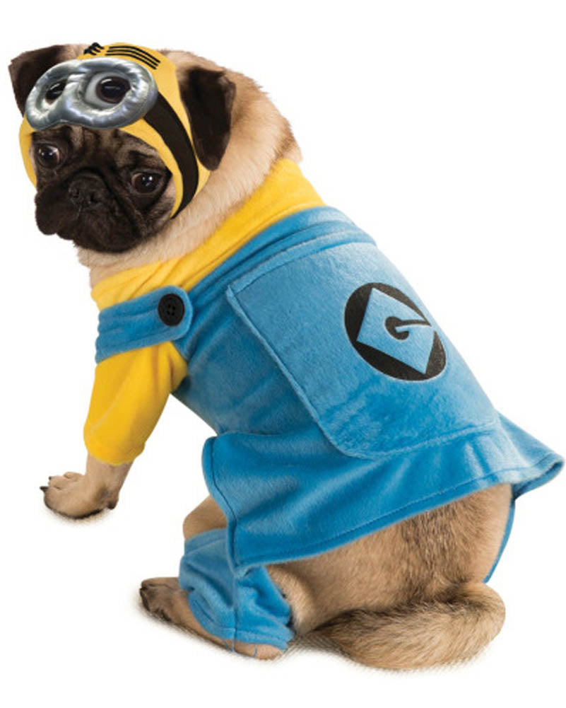 Despicable Me Minions Pet Costume