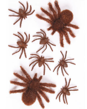 Fuzzy Brown Spider Family