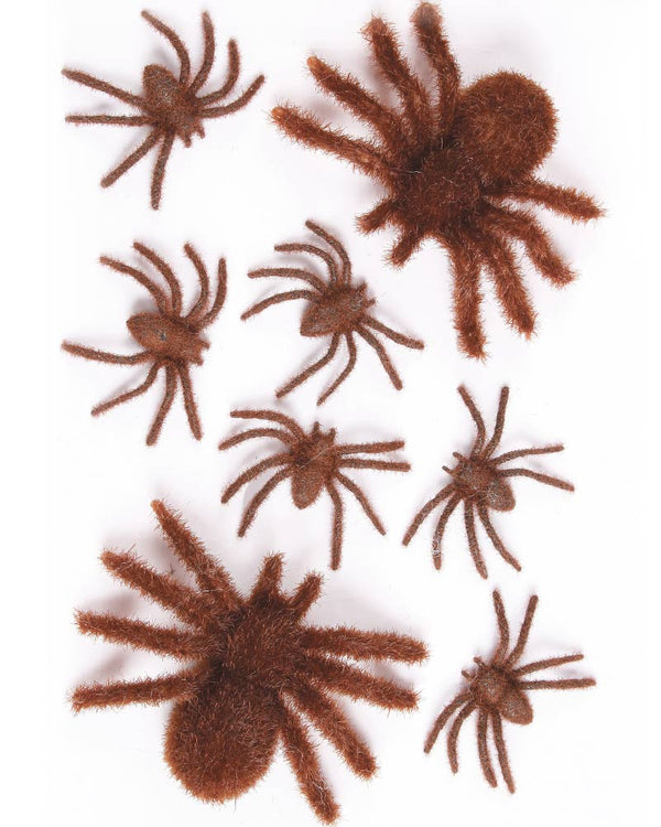 Fuzzy Brown Spider Family