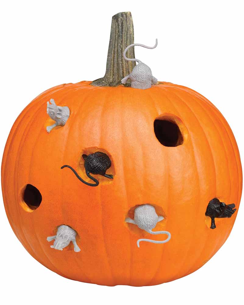 Mouse House Pumpkin Carving Kit