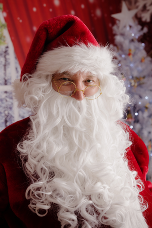 Professional Plush Santa Suit Mens Christmas Costume