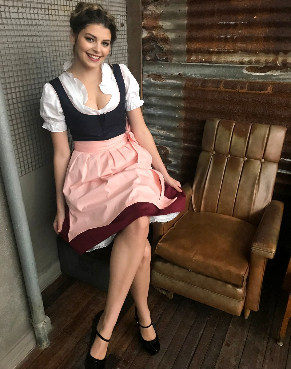 Erika Deluxe Oktoberfest Dirndl Plus Size Womens Costume