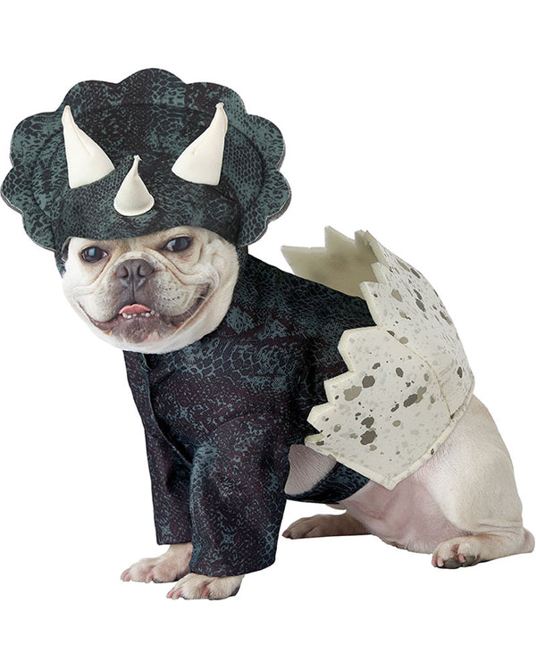 Dino Pup Pet Costume