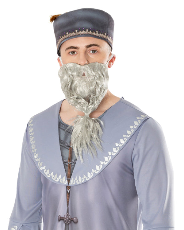 Dumbledore Mens Costume