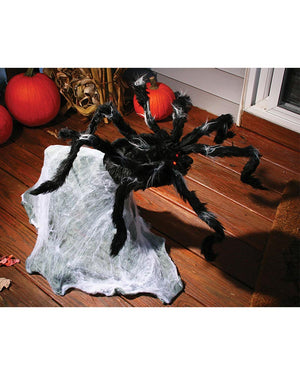 Giant Jumping Spider 91cm