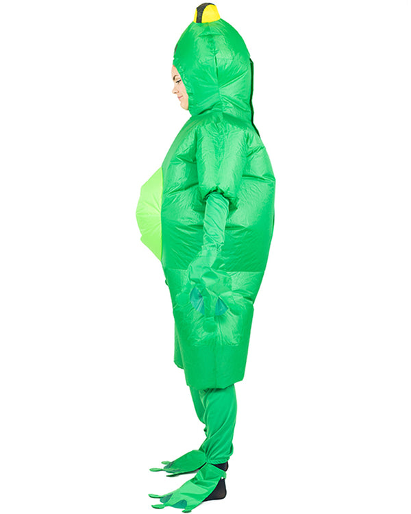 Frog Inflatable Adult Costume