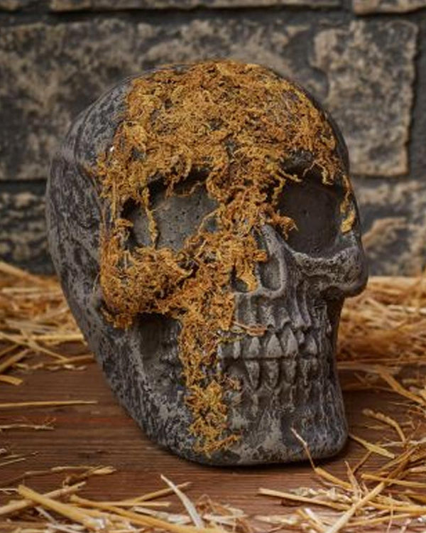 Jaw Moss Covered Skull