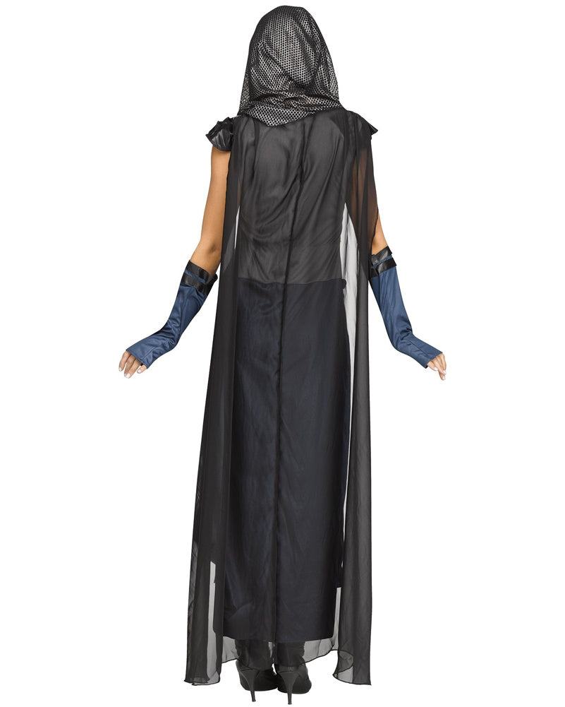 Lady Lionheart Womens Costume