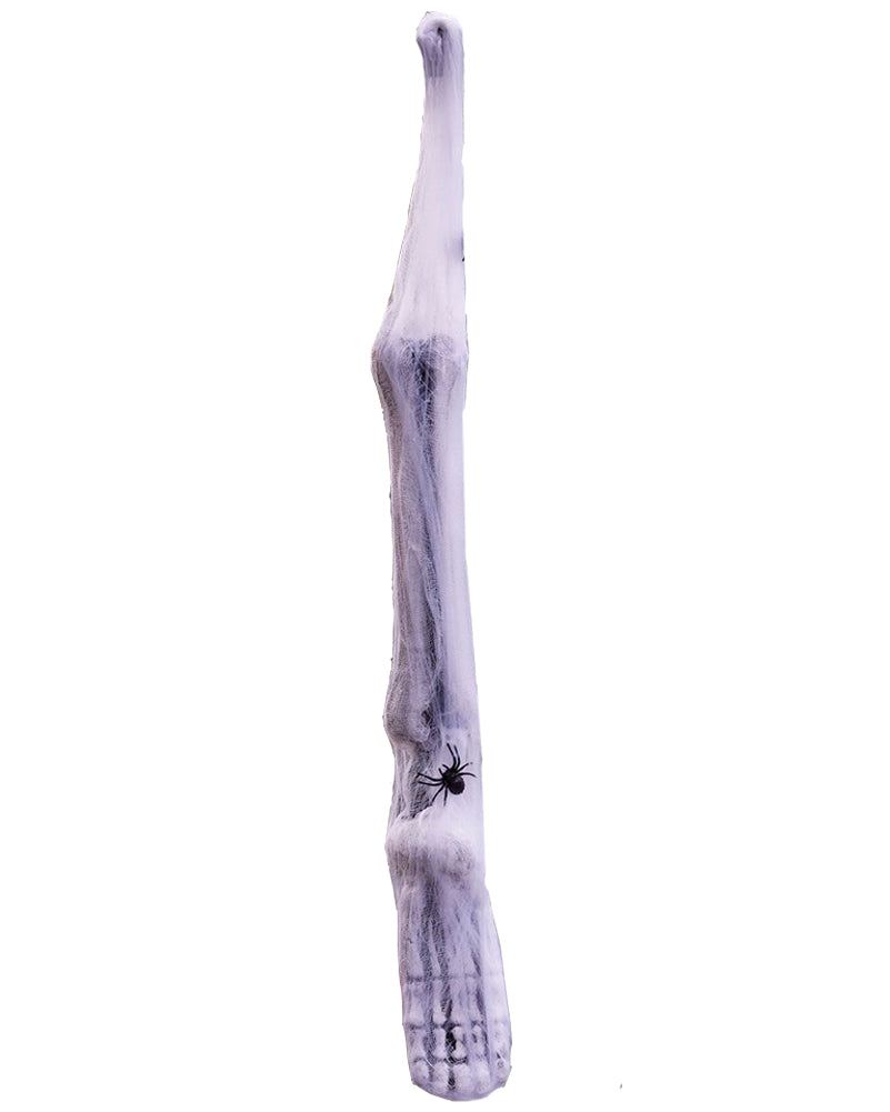 Leg and Foot Spider Cocoon Limb