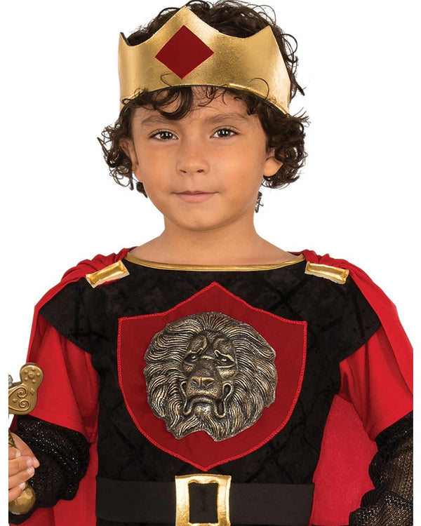 Little Knight Boys Costume