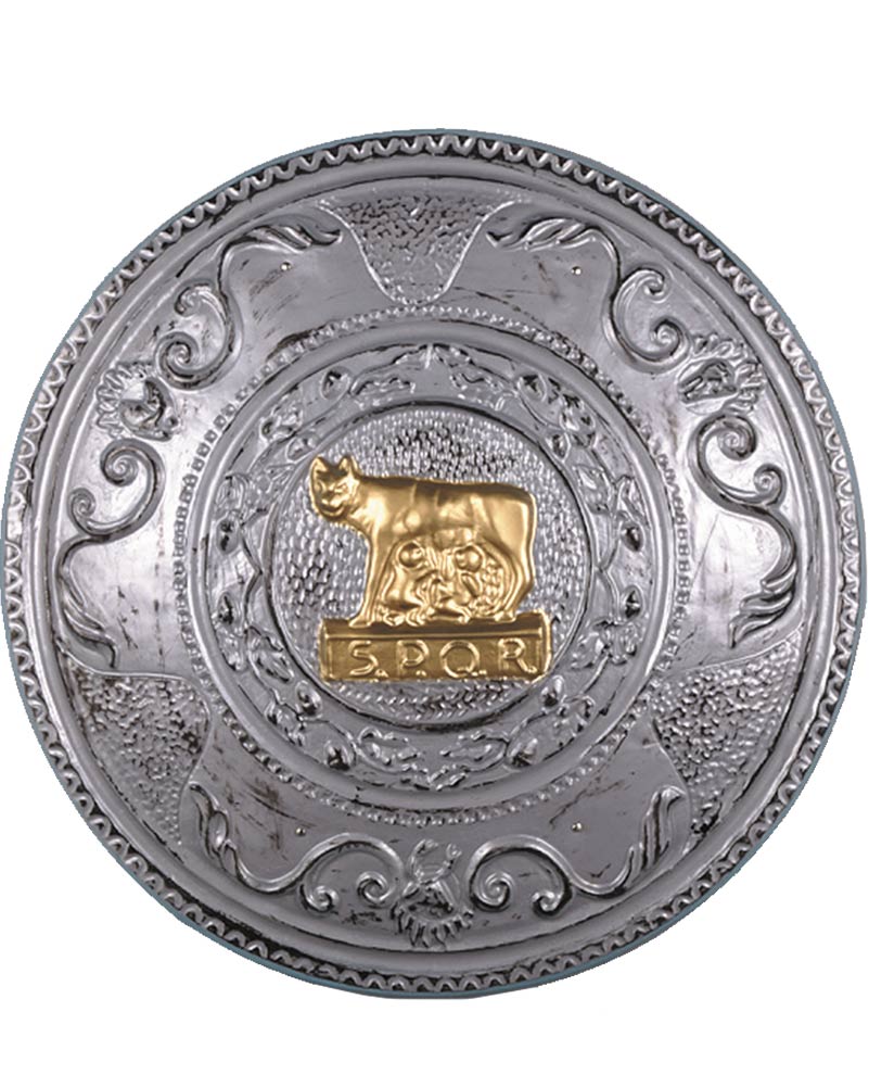 Round Shield 49cm