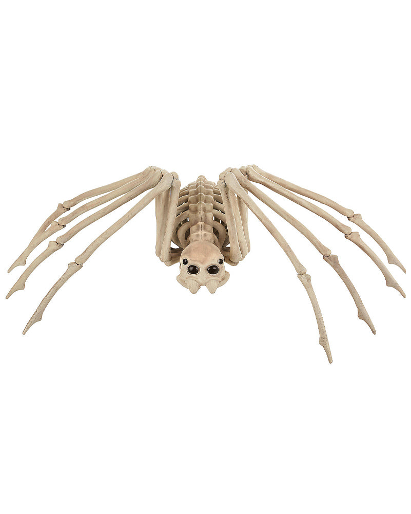Spider Skeleton Prop