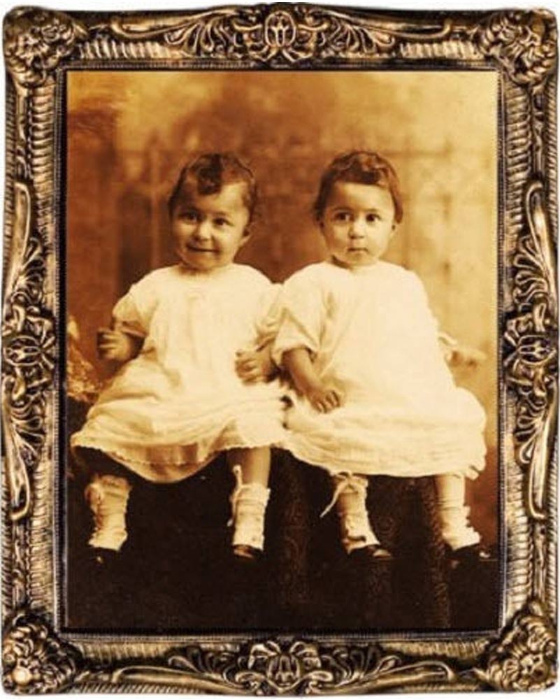 Twins Lenticular Portrait