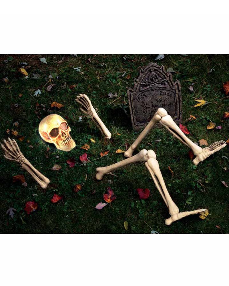 Up From Down Under Skull with Bones