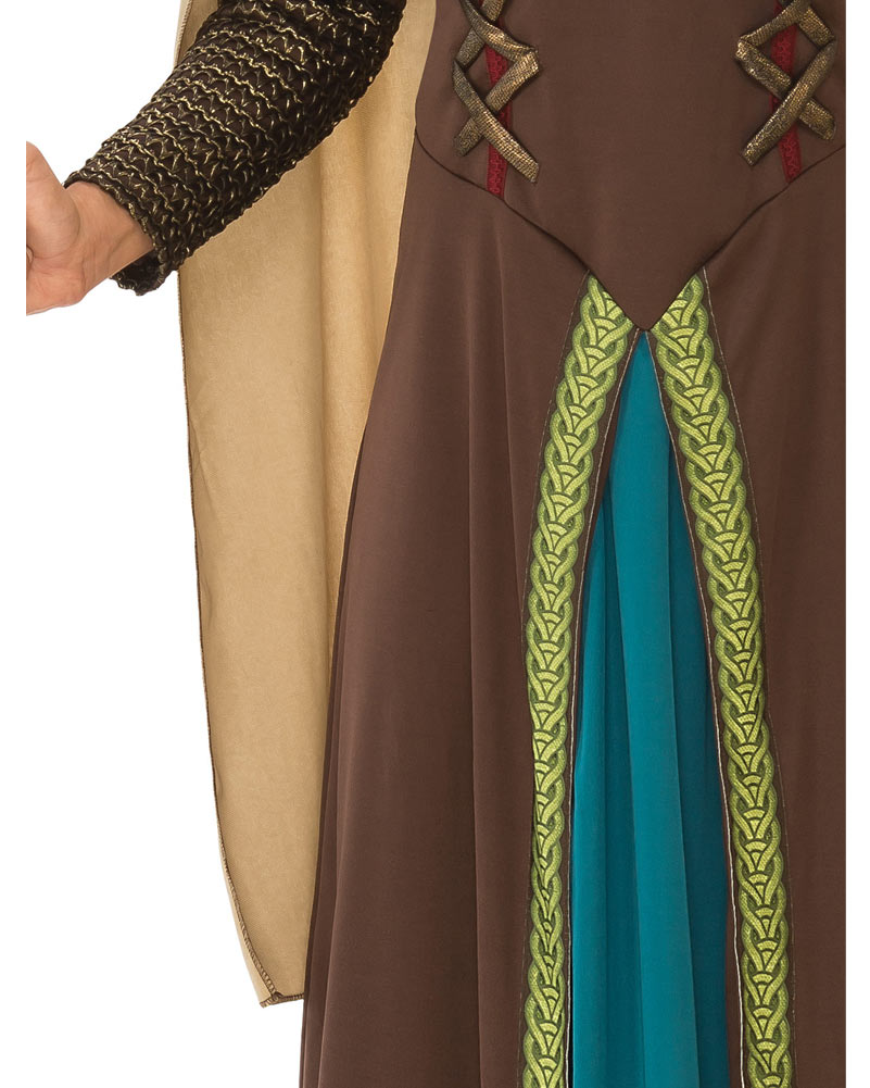 Viking Womens Costume
