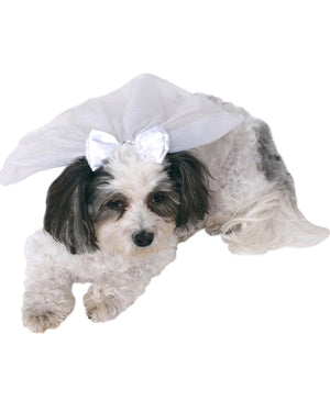 Wedding Veil Pet Costume