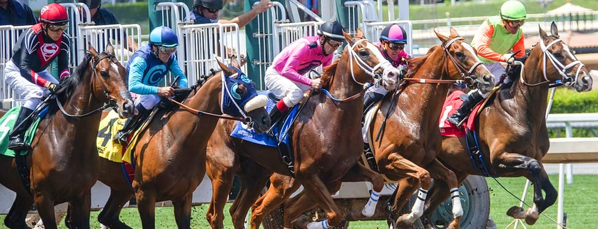 Image of horses and jockeys beginning a race. 