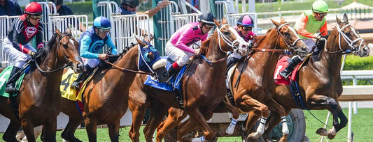 Image of horses and jockeys beginning a race. 