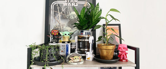 I Destroyed a Limited Edition Star Wars R2D2 Coffee Press, Here’s Why