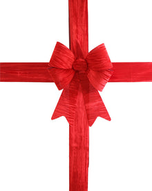 Christmas 3D Red Bow and Sash Set
