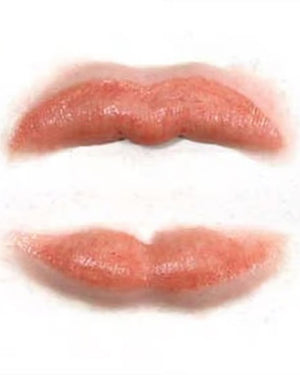 3D Botox Lips Small FX Appliance Transfer Prosthetic