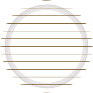 Gold Stripes 23cm Round Paper Plates Pack of 8