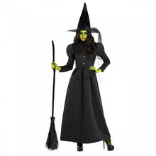 Black Wicked Witch of the West Womens Halloween Costume Size 28-30