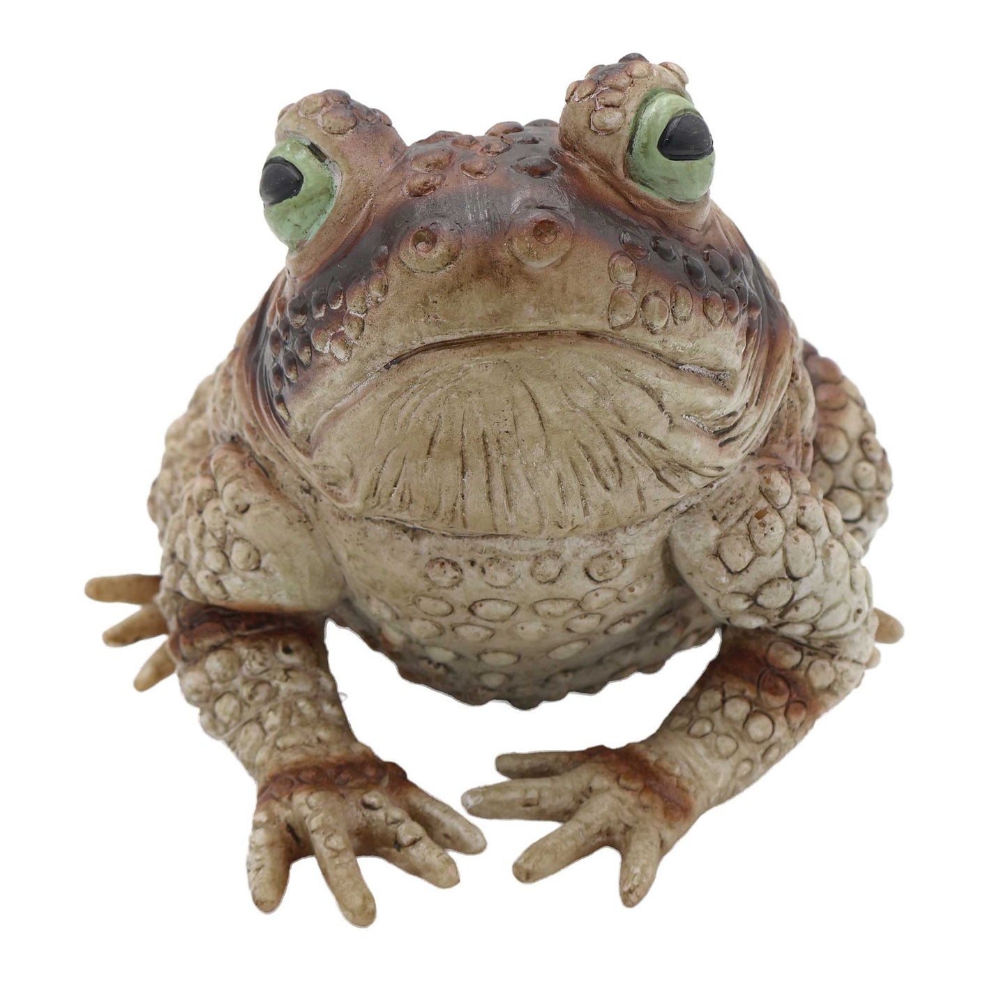 Fright Night Frog Prop Decoration 23cm