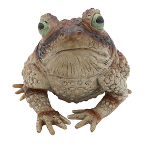 Fright Night Frog Prop
