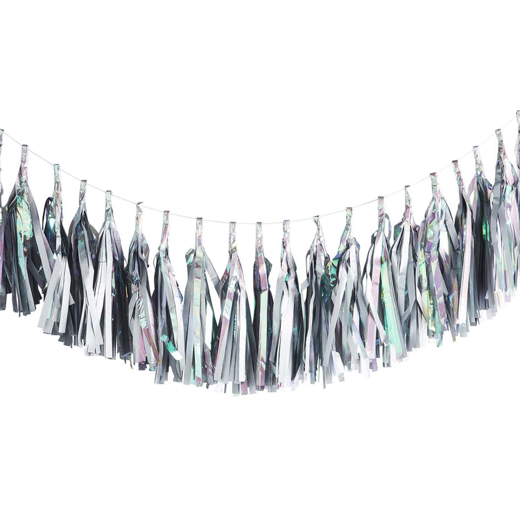 Metallic Mix Up Iridescent Tassel Garland 2m